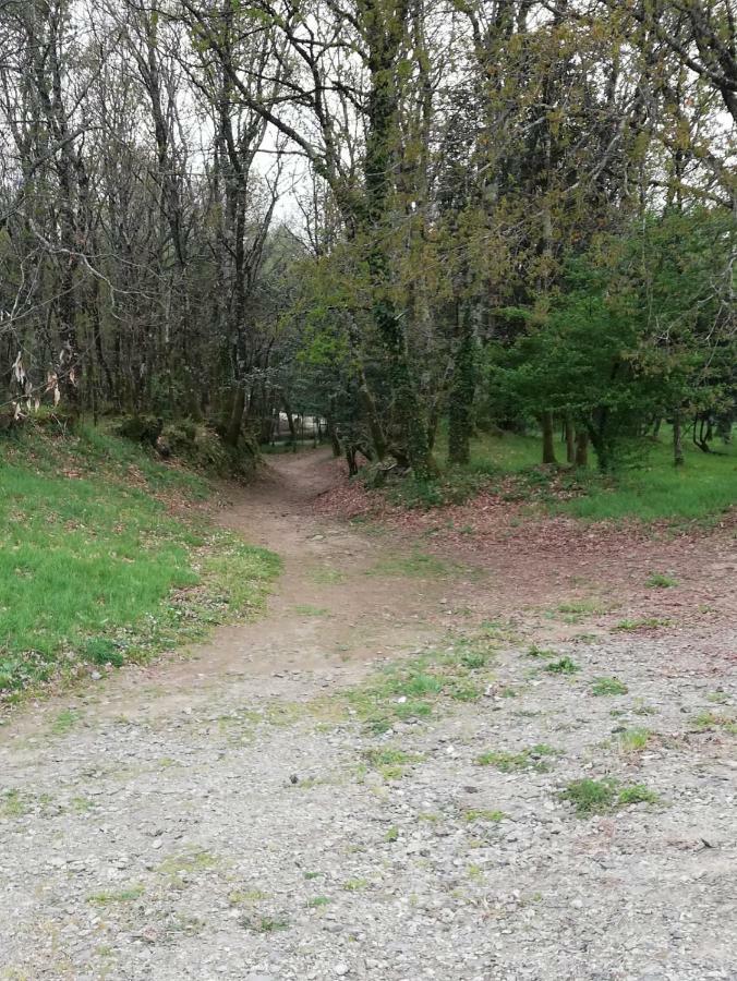 Apartamento Sigueeiro Camino Ingles Sigueiro Bagian luar foto