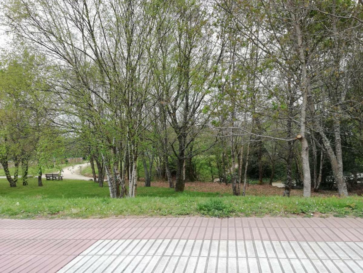 Apartamento Sigueeiro Camino Ingles Sigueiro Bagian luar foto