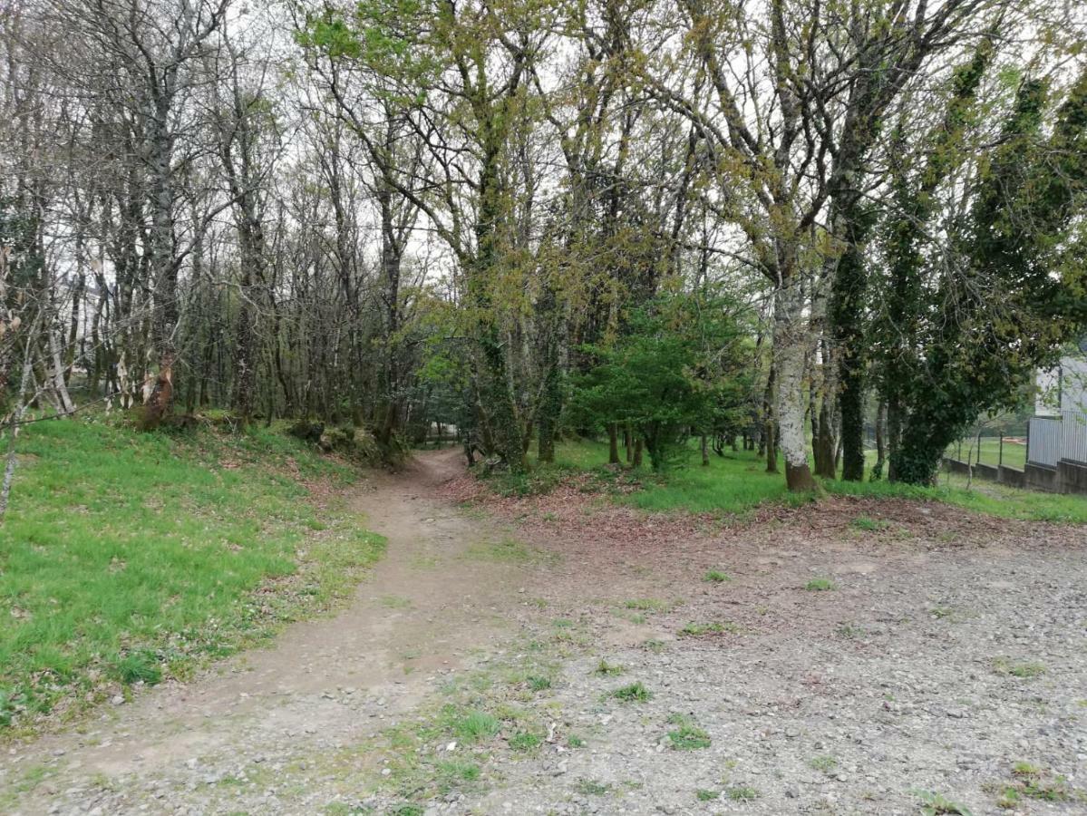 Apartamento Sigueeiro Camino Ingles Sigueiro Bagian luar foto